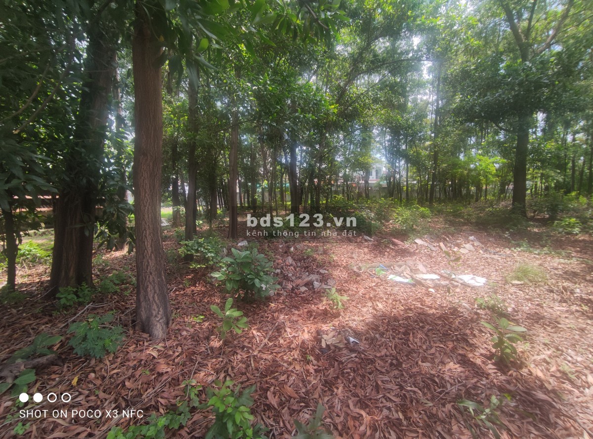 Cho thuê đất 2.400m2 gần QL 1K, Linh Xuân, Thủ Đức.