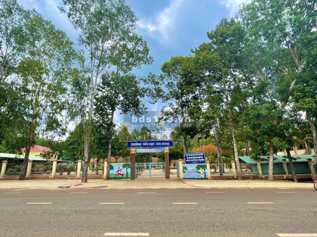 ĐẤT FULL THỔ CƯ MẶT TIỀN 25x25 VUÔNG VỨC TRƯỚC KCN BÊN HÔNG LÀ TRƯỜNG HỌC LÀM GÌ CỦNG ĐƯỢC