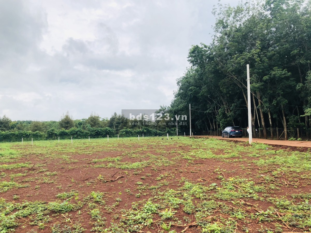 LÀM VIỆC CHÍNH CHỦ CẦN BÁN 3525m2 ĐẤT TRỒNG CÂY GIÁ 730tr VIEW SÔNG SẴN SỔ