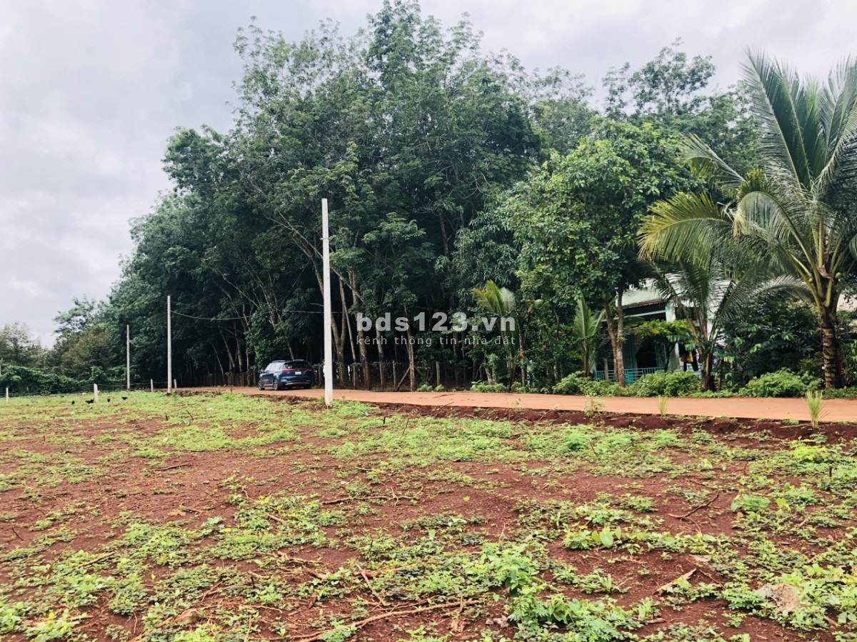 LÀM VIỆC CHÍNH CHỦ CẦN BÁN 3525m2 ĐẤT TRỒNG CÂY GIÁ 730tr VIEW SÔNG SẴN SỔ