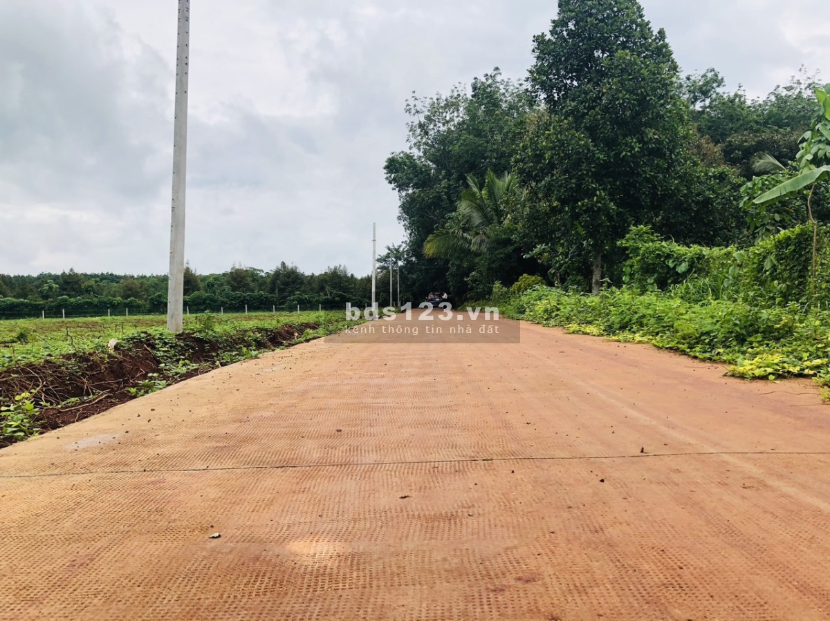 LÀM VIỆC CHÍNH CHỦ CẦN BÁN 3525m2 ĐẤT TRỒNG CÂY GIÁ 730tr VIEW SÔNG SẴN SỔ