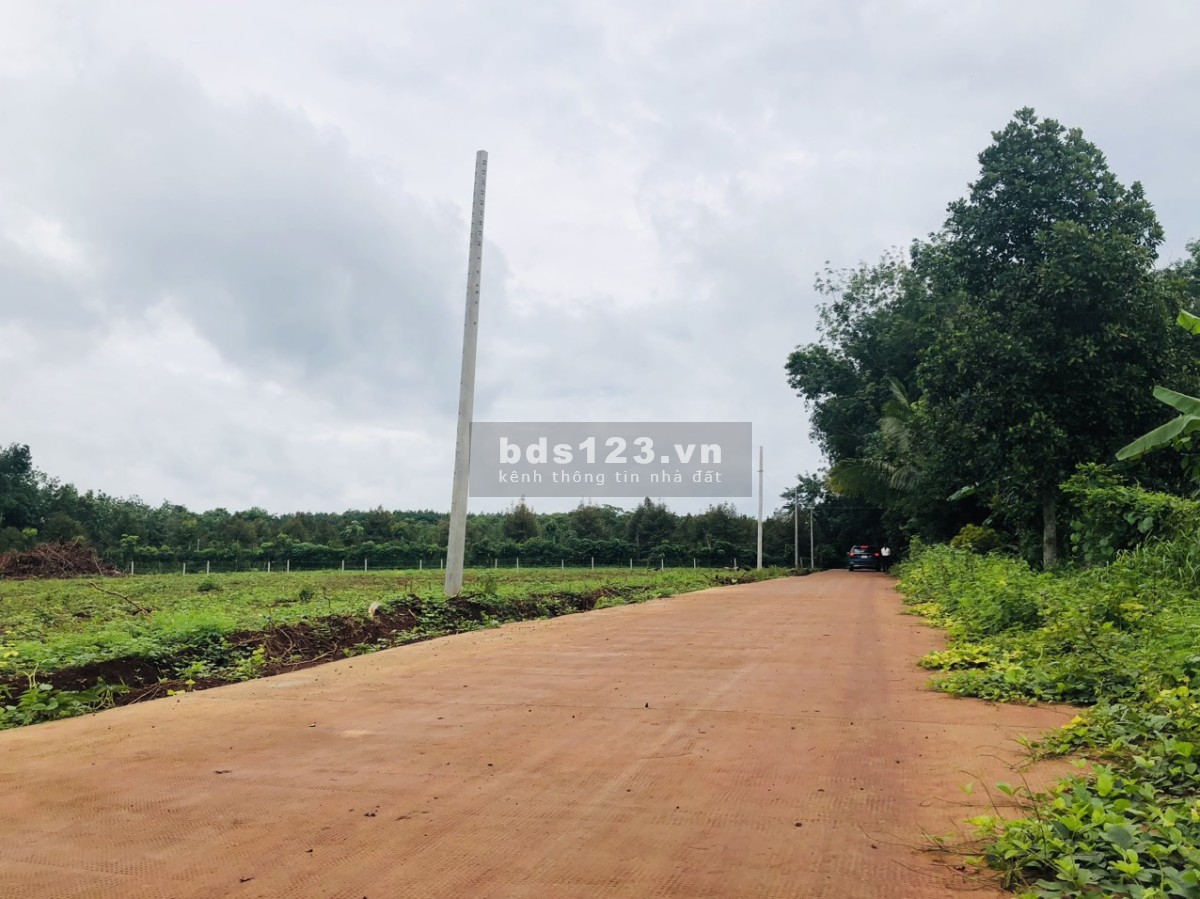 LÀM VIỆC CHÍNH CHỦ CẦN BÁN 3525m2 ĐẤT TRỒNG CÂY GIÁ 730tr VIEW SÔNG SẴN SỔ