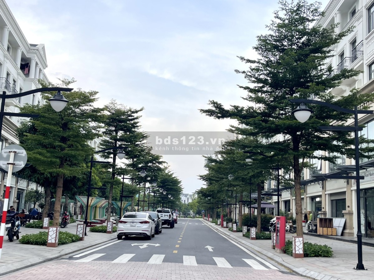 Shophouse TMDV diện tích 105m2, mặt tiền 5.5m giá 8.6 tỷ Vin Gia Lâm (0985941715)