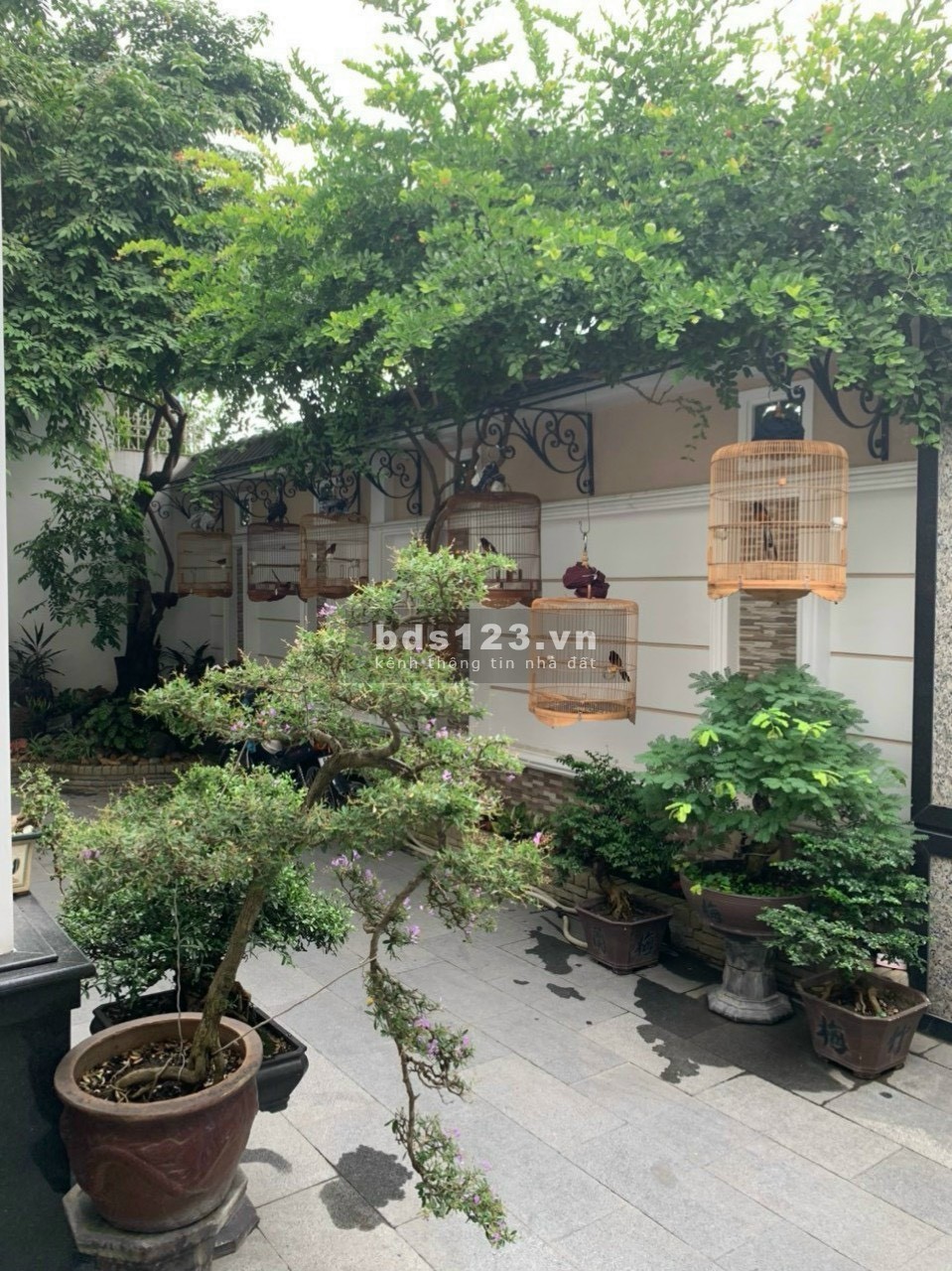 Chỉ 140tr/m2 để sở hữu 500m2 Biệt thự Mặt tiền đường Phan Đăng Lưu Q.Bình thạnh, DT 20x25m-62 tỷ