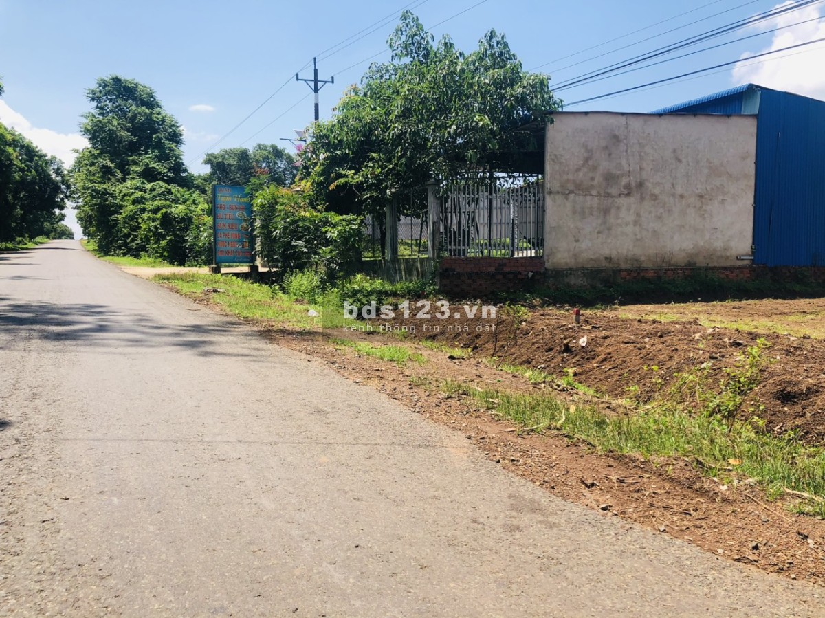 Bán rẻ sổ (50x26=1.300m2) full sổ riêng TC, giá 260tr/s sát trường chợ, 3 KCN