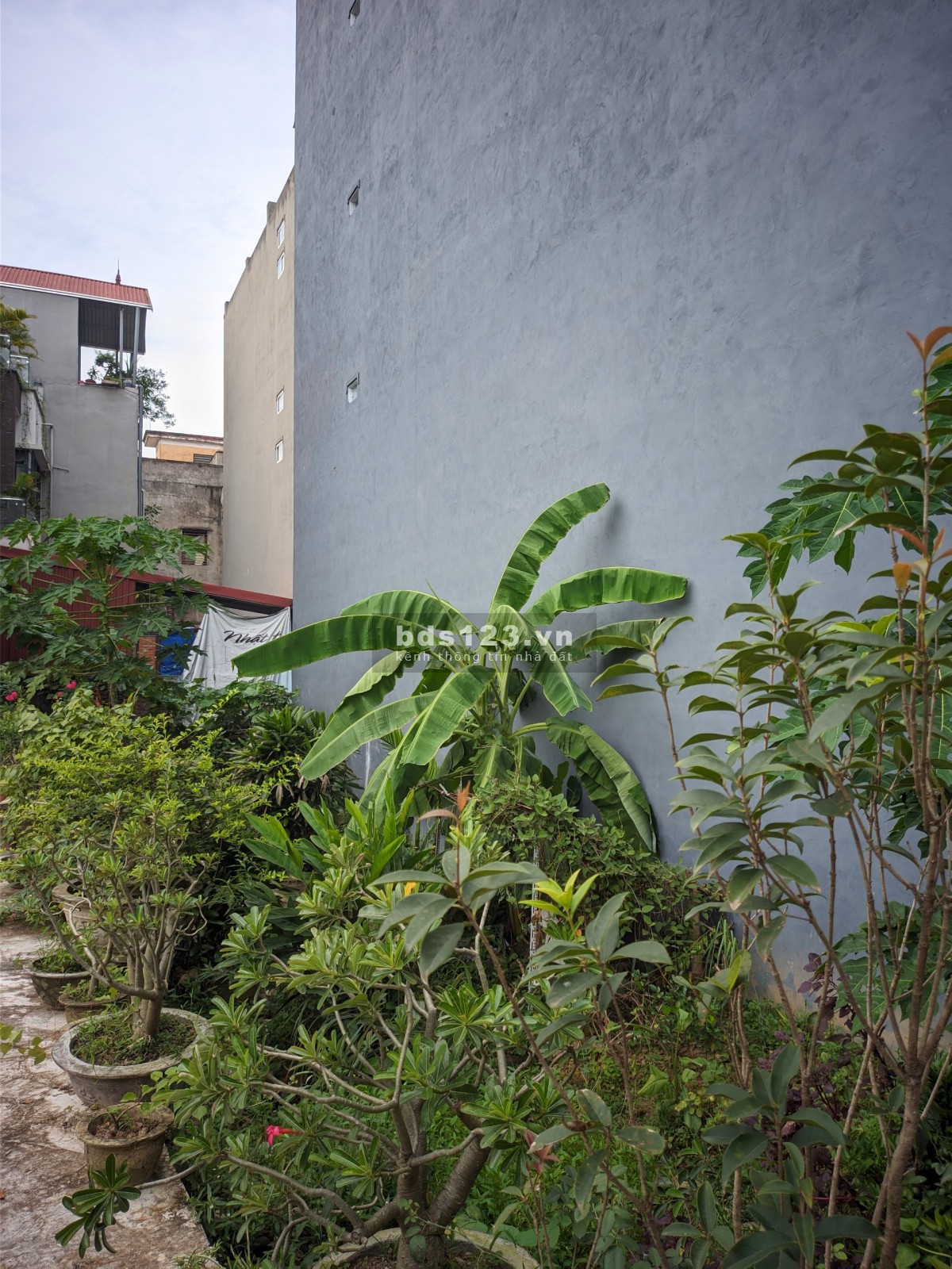 BÁN GẤP LÔ ĐẤT XUÂN PHƯƠNG, S: 83M2 MT 4.6M 6 TỶ, NGÕ RỘNG VÀI BƯỚC RA MẶT PHỐ XUÂN PHƯƠNG.