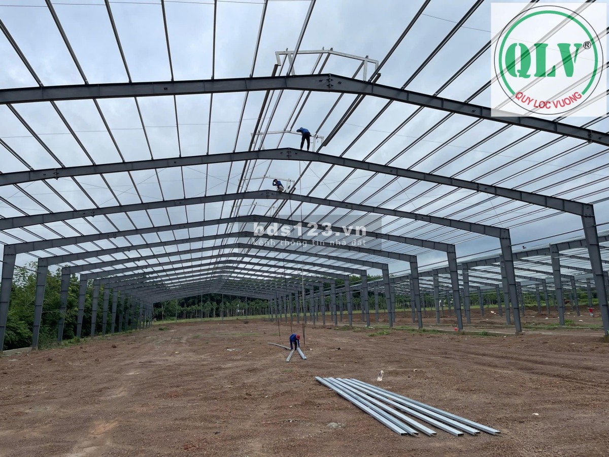 Bán/ Cho thuê nhà xưởng mới xây dựng diện tích 5.000-15.000m2 ở Phú Giáo, Bình Dương
