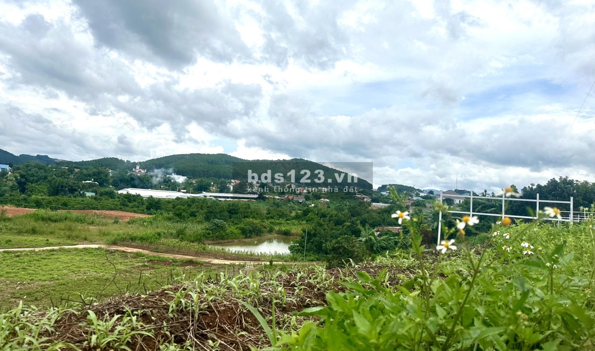 Gia đình cần bán gấp lô đất vùng ven Đà lạt có tiềm năng phát triển trong tương lai