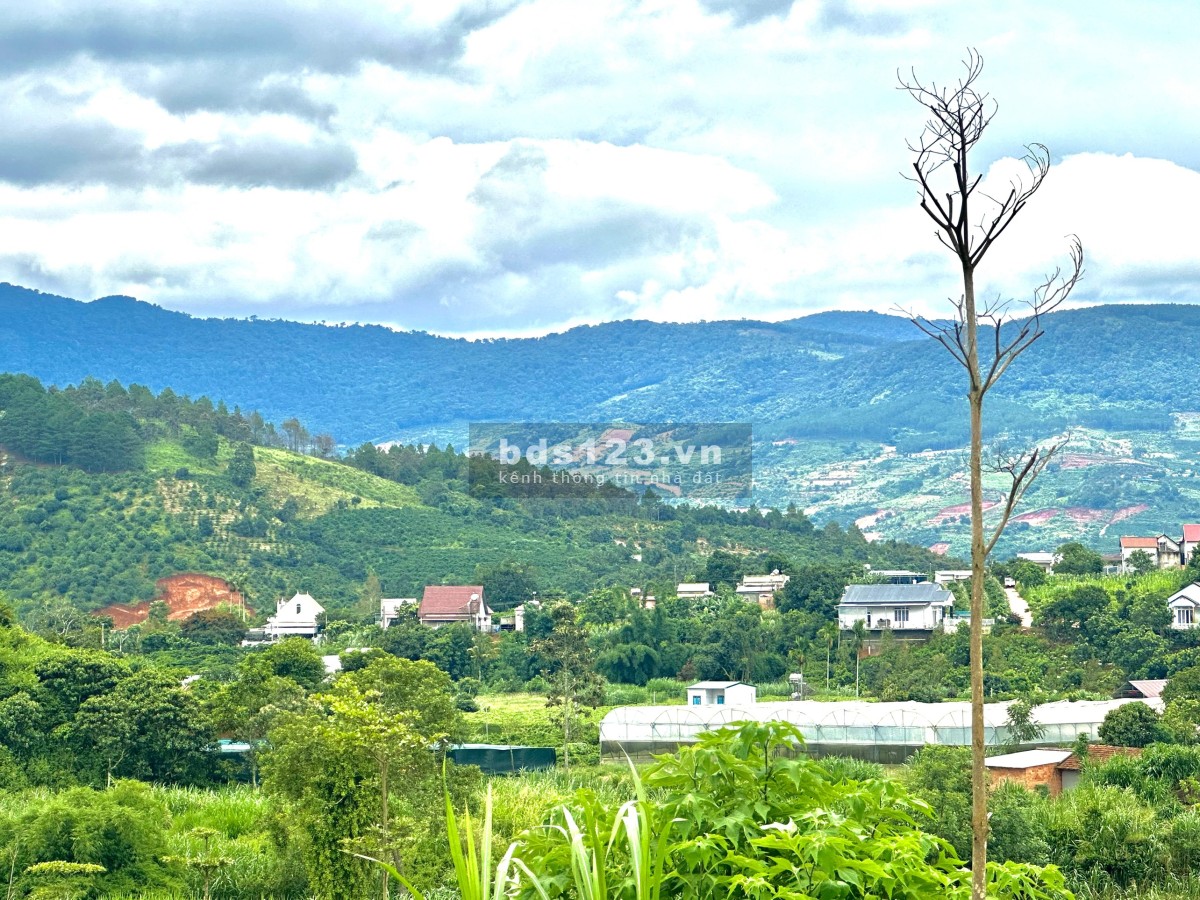 Gia đình cần bán gấp lô đất vùng ven Đà lạt có tiềm năng phát triển trong tương lai