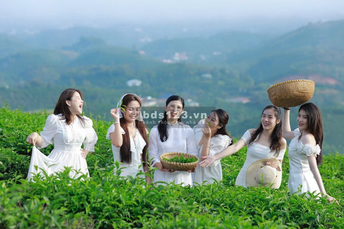 Làng Oa BĐS nghỉ dưỡng độc bản tại Bảo Lộc, cộng đồng cư dân hiện hữu chỉ 1,45tr/m2