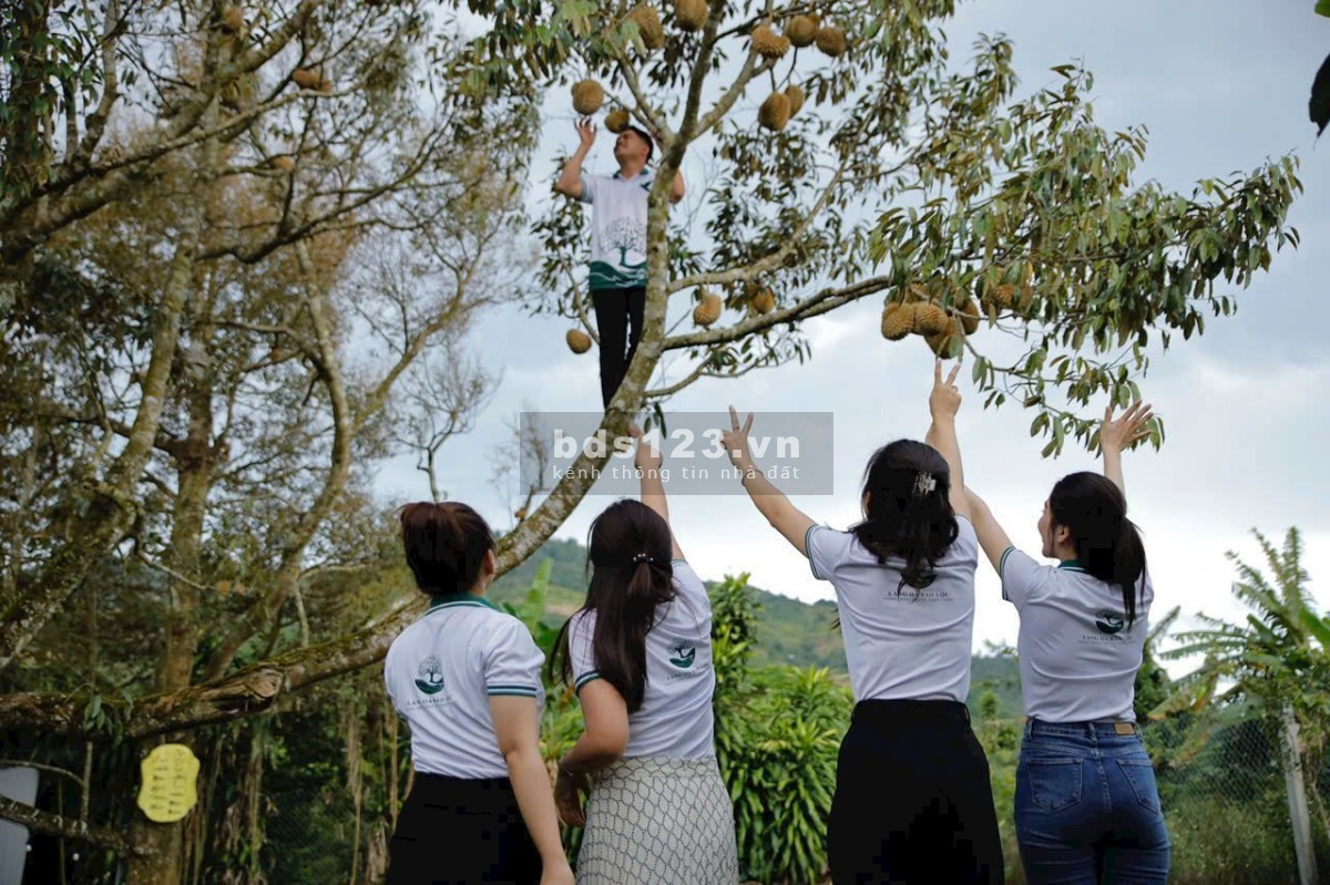 Làng Oa BĐS nghỉ dưỡng độc bản tại Bảo Lộc, cộng đồng cư dân hiện hữu chỉ 1,45tr/m2