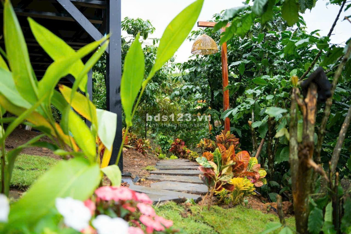 Về với thiên nhiên! Mô hình BĐS cộng đồng cùng nhau xây dựng đầu tiên tại Bảo Lâm. Giá từ 1.44tr/m2