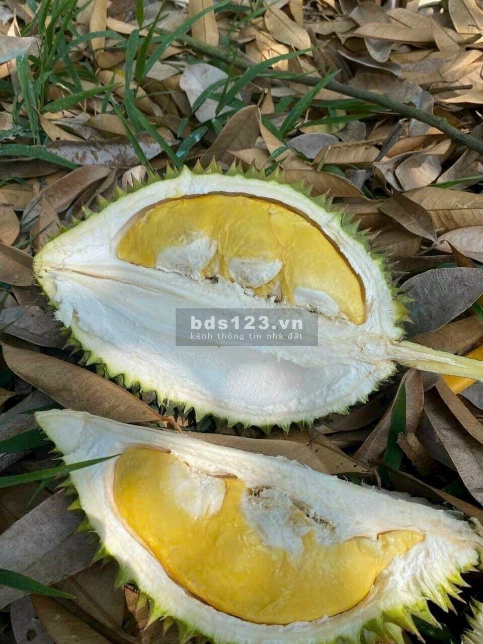 Về với thiên nhiên! Mô hình BĐS cộng đồng cùng nhau xây dựng đầu tiên tại Bảo Lâm. Giá từ 1.44tr/m2