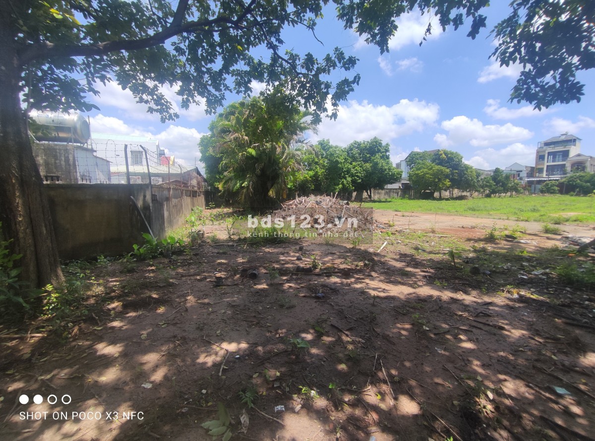 Cho thuê đất trống 2.150m2 - 3.300m2 - 5.450m2 gần Bưng Ông Thoàn, Phú Hữu, Quận 9