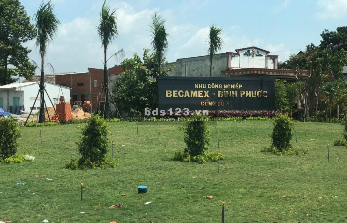Bán rẻ (21x65=1.268m2) full sổ riêng TC, giá 260tr, sát trường chợ, 3 kcn lớn