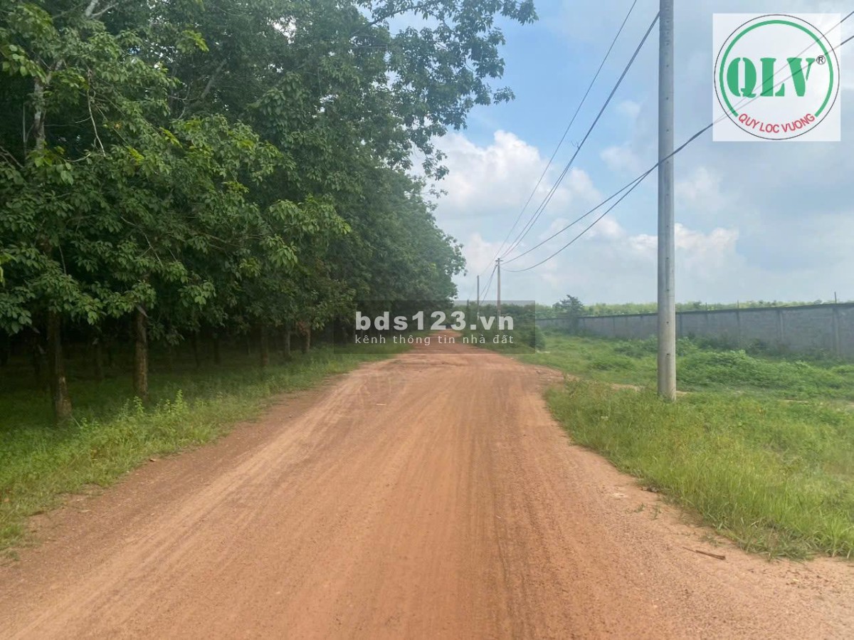 Bán đất xây xưởng 10 ha đất công nghiệp (SKC) tại Long Thành, Đồng Nai (gần kcn An Phước)