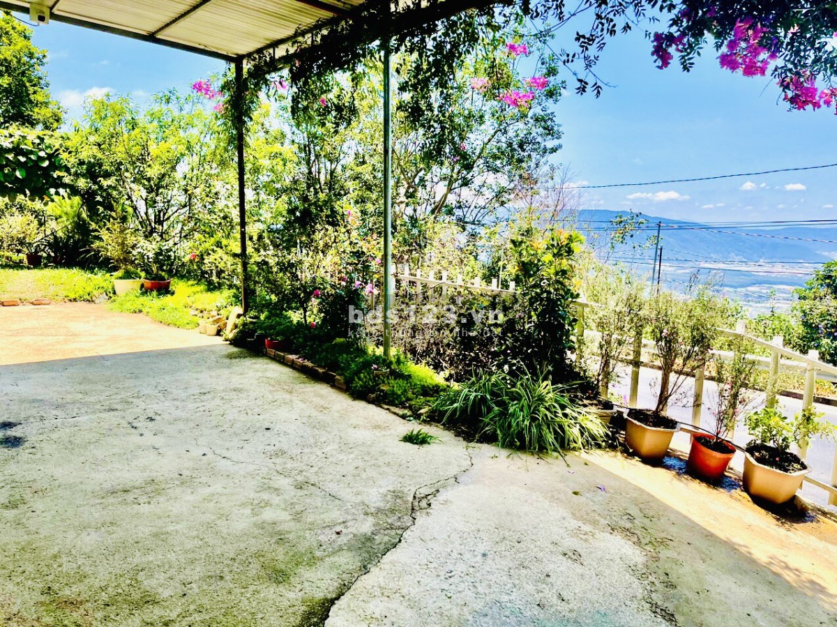 Bán gấp nhà view mây Tp. Đà Lạt, full thổ cư 341m² (thực tế hơn 500m²)