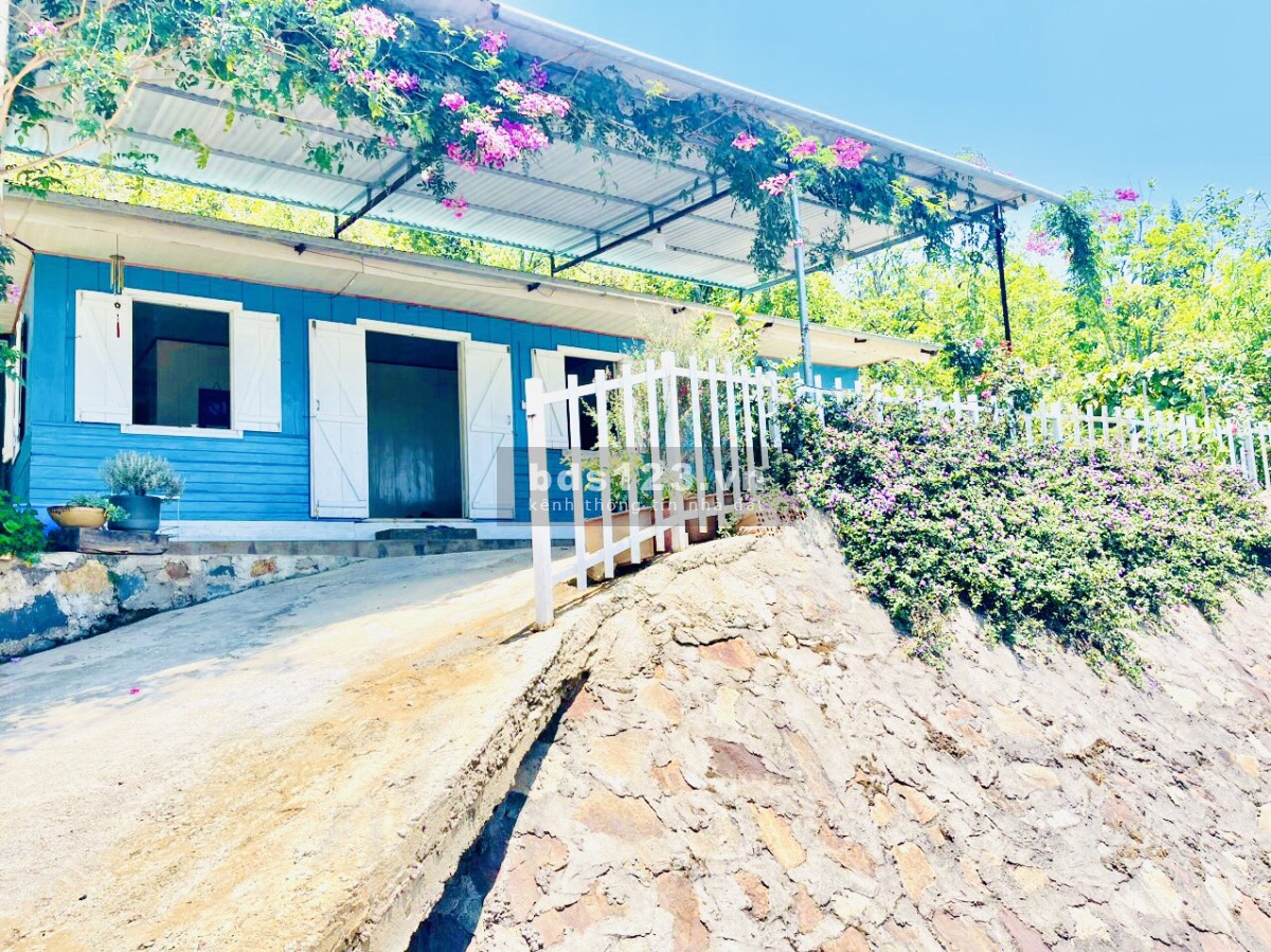 Bán gấp nhà view mây Tp. Đà Lạt, full thổ cư 341m² (thực tế hơn 500m²)