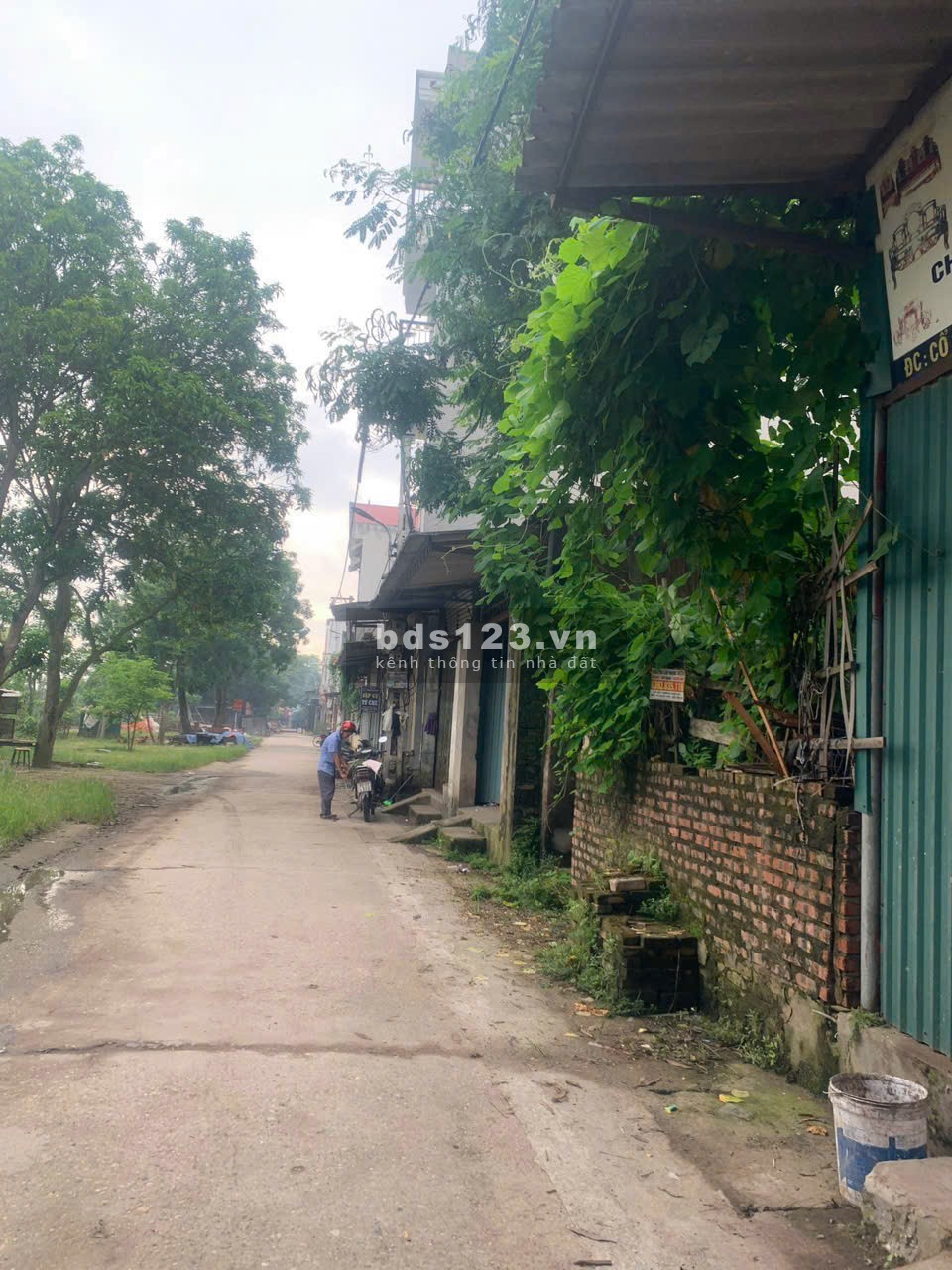 Đất sổ đỏ 72m2 đường Cổ Châu, Liên Hà