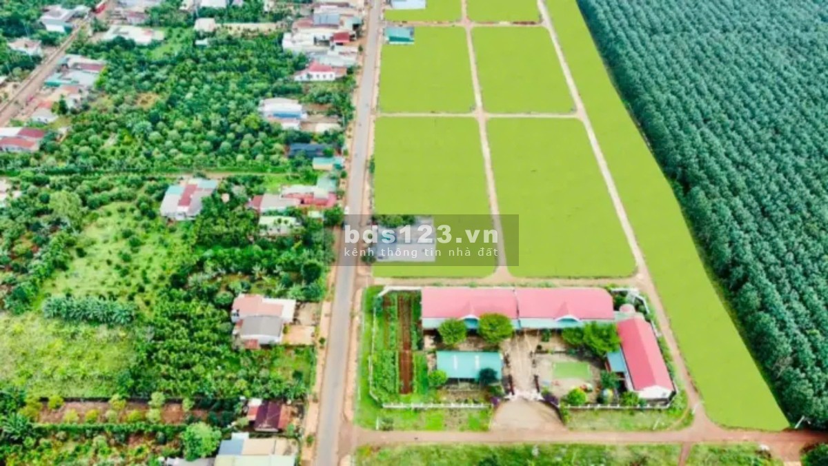 Khu Dân Cư Phú Lộc - An Nhiên Giữa Cao Nguyên