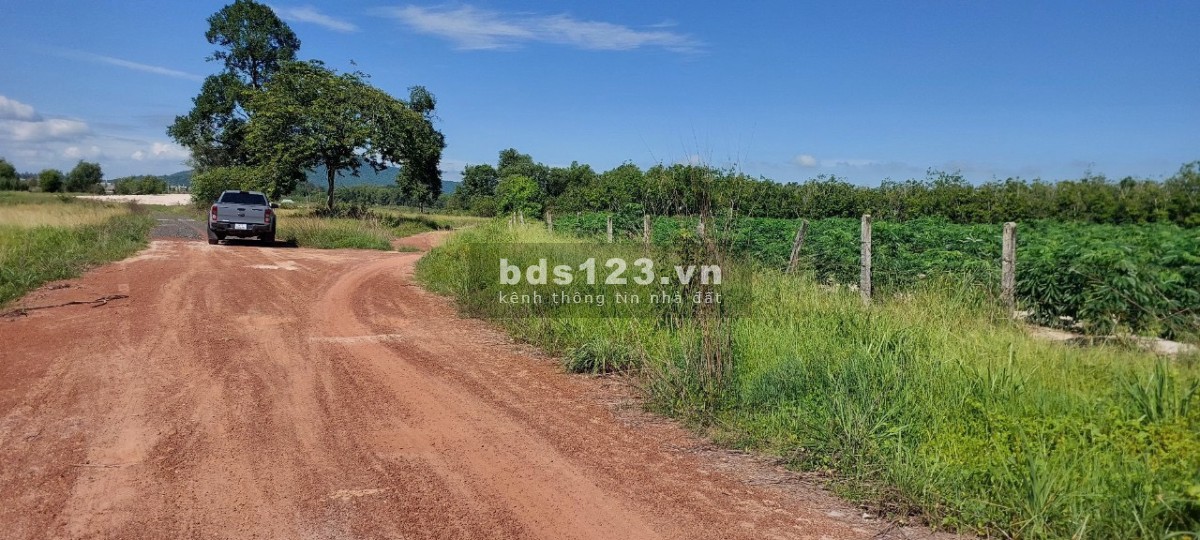 Cần bán mảnh vườn 4500m2 Dầu Tiếng -Bình Dương giá chỉ 1,4 tỷ