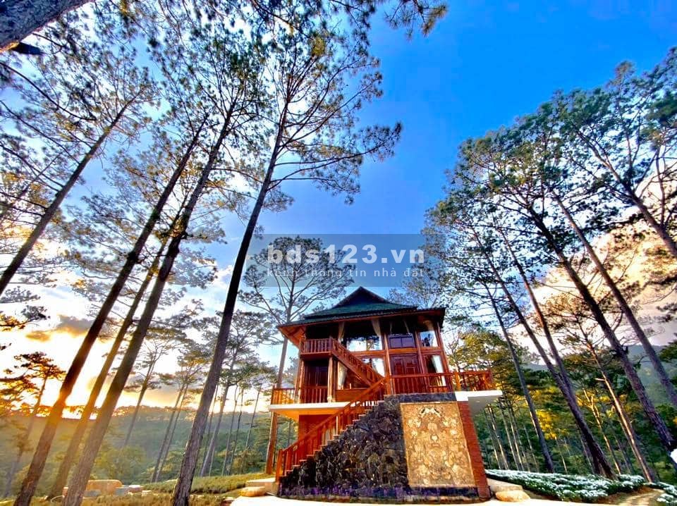 Đất Lạc Dương Đà Lạt giá rẻ, sổ riêng xây dựng tự do, đường nhựa oto tận nơi, dân cư đông