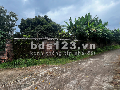 Bán gấp 629m2 đất Thôn Yên Lạc 2, Xã Hoàng Vân, Huyện Hiệp Hòa, Bắc Giang,