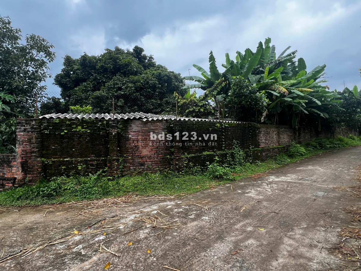 Bán gấp 629m2 đất Thôn Yên Lạc 2, Xã Hoàng Vân, Huyện Hiệp Hòa, Bắc Giang,