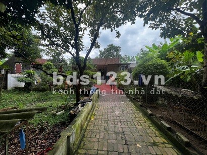 Bán gấp 629m2 đất Thôn Yên Lạc 2, Xã Hoàng Vân, Huyện Hiệp Hòa, Bắc Giang,