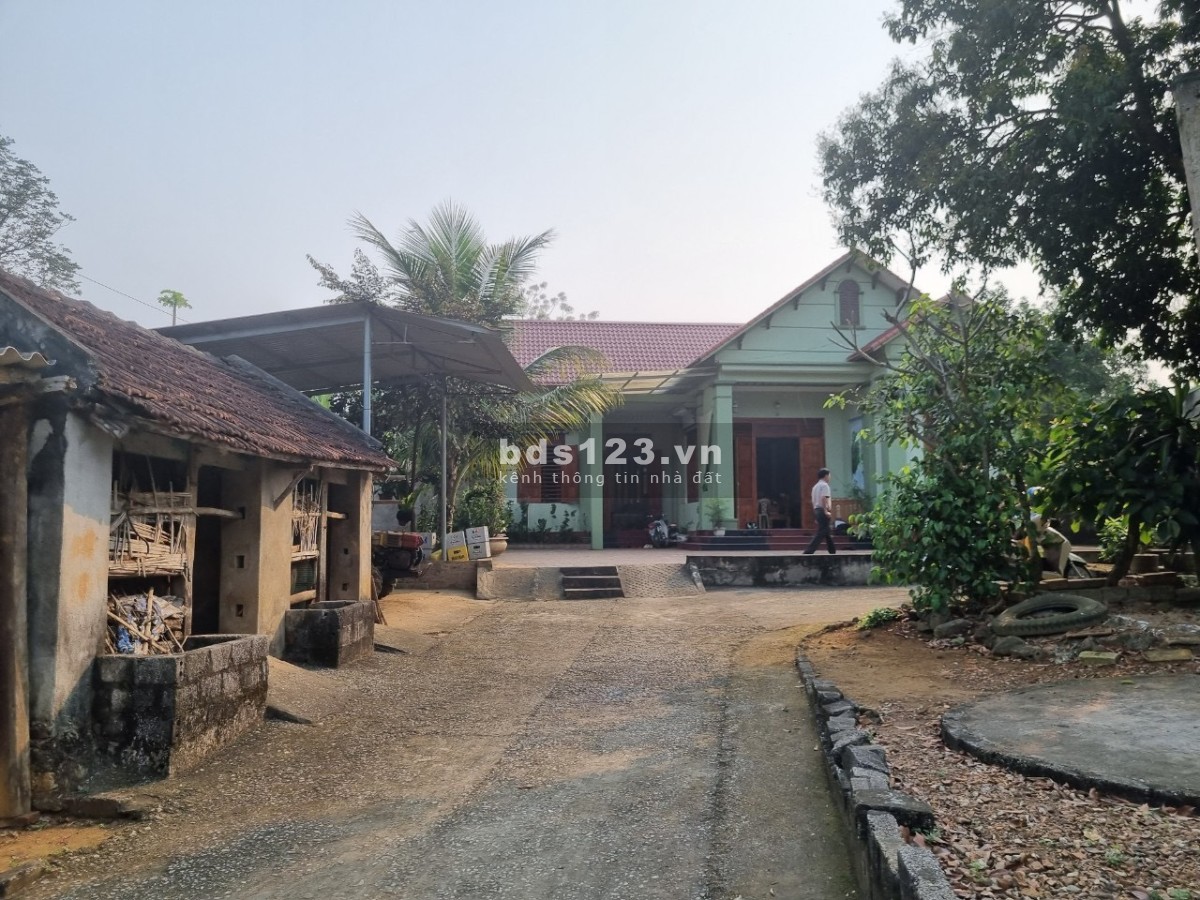 Bán gấp 1564m2 đất tại thôn Vân Lương xã Thành Tiến, huyện Thạch Thành, Thanh Hóa