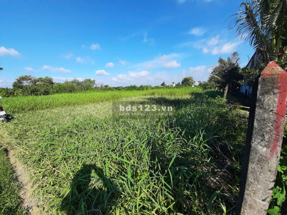 450tr có ngay 1,3 công đất thổ, vườn gần TL864 Tăng Hòa, Gò Công Đông, Tiền Giang