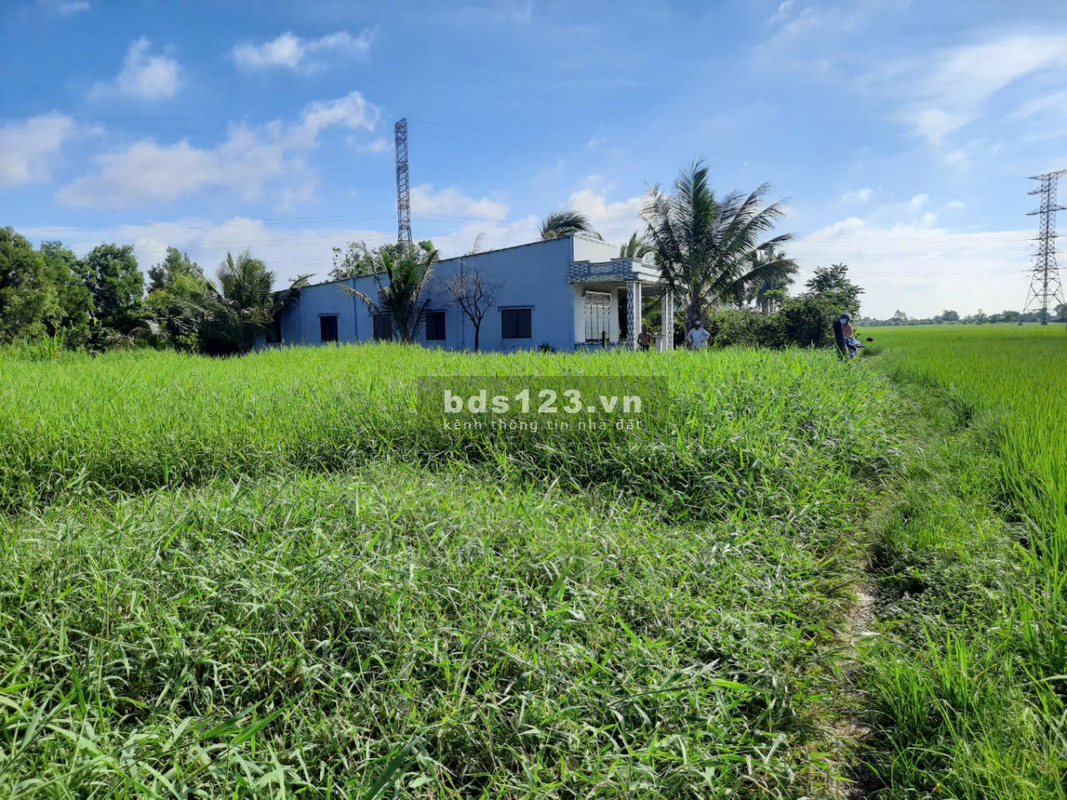 450tr có ngay 1,3 công đất thổ, vườn gần TL864 Tăng Hòa, Gò Công Đông, Tiền Giang