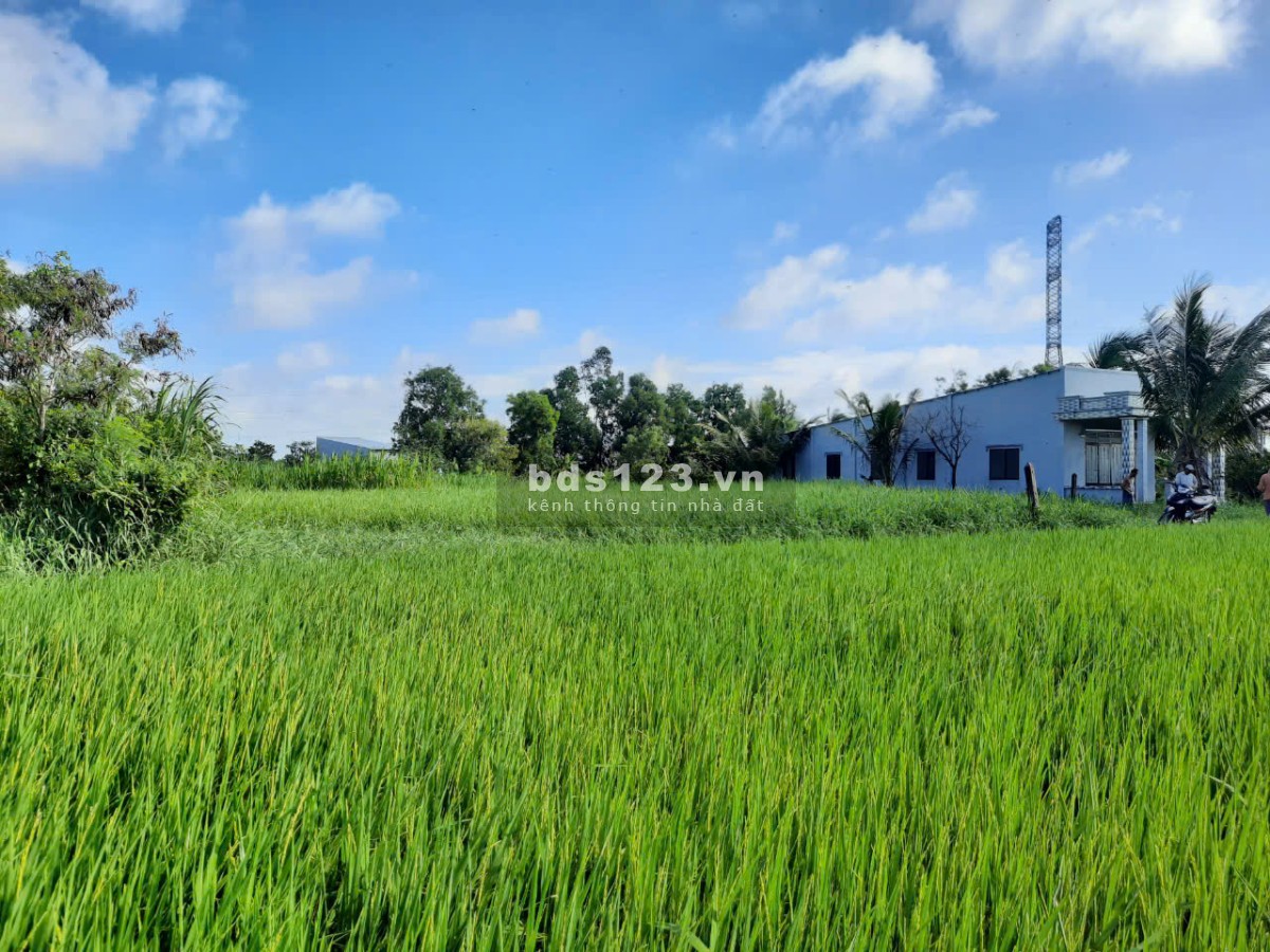450tr có ngay 1,3 công đất thổ, vườn gần TL864 Tăng Hòa, Gò Công Đông, Tiền Giang
