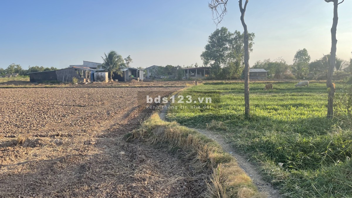 450tr có ngay 1,3 công đất thổ, vườn gần TL864 Tăng Hòa, Gò Công Đông, Tiền Giang