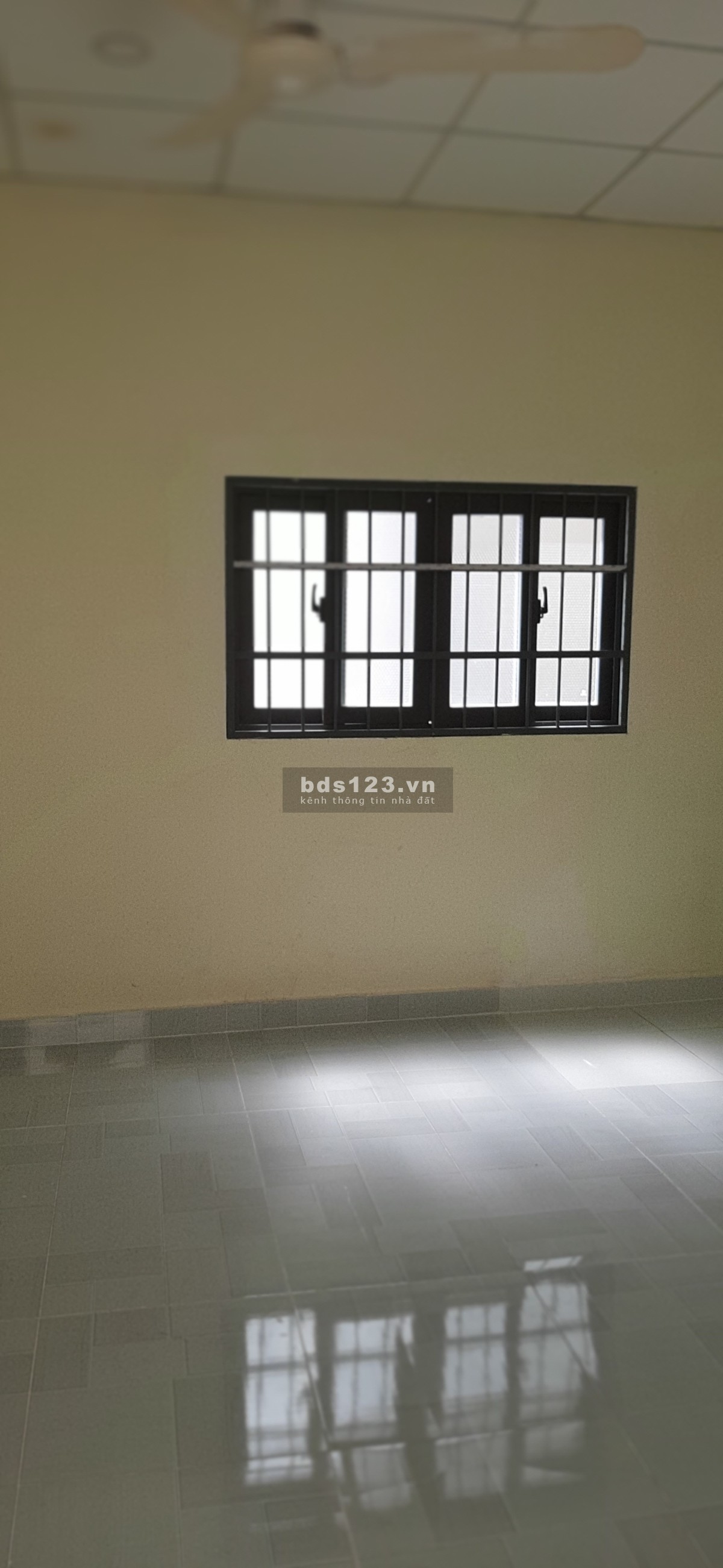 Cho thuê nhà Phường Cầu Kho, Quận 1, TPHCM