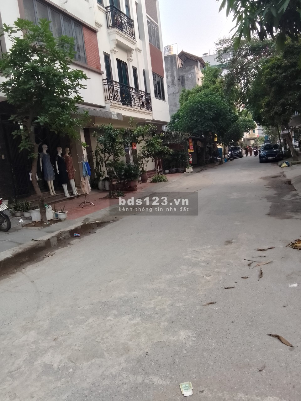 BÁN NGAY GÀ ĐẺ TRỨNG VÀNG TẠI PHÚ DIỄN ĐẢM BẢO SINH LỜI BỀN VỮNG