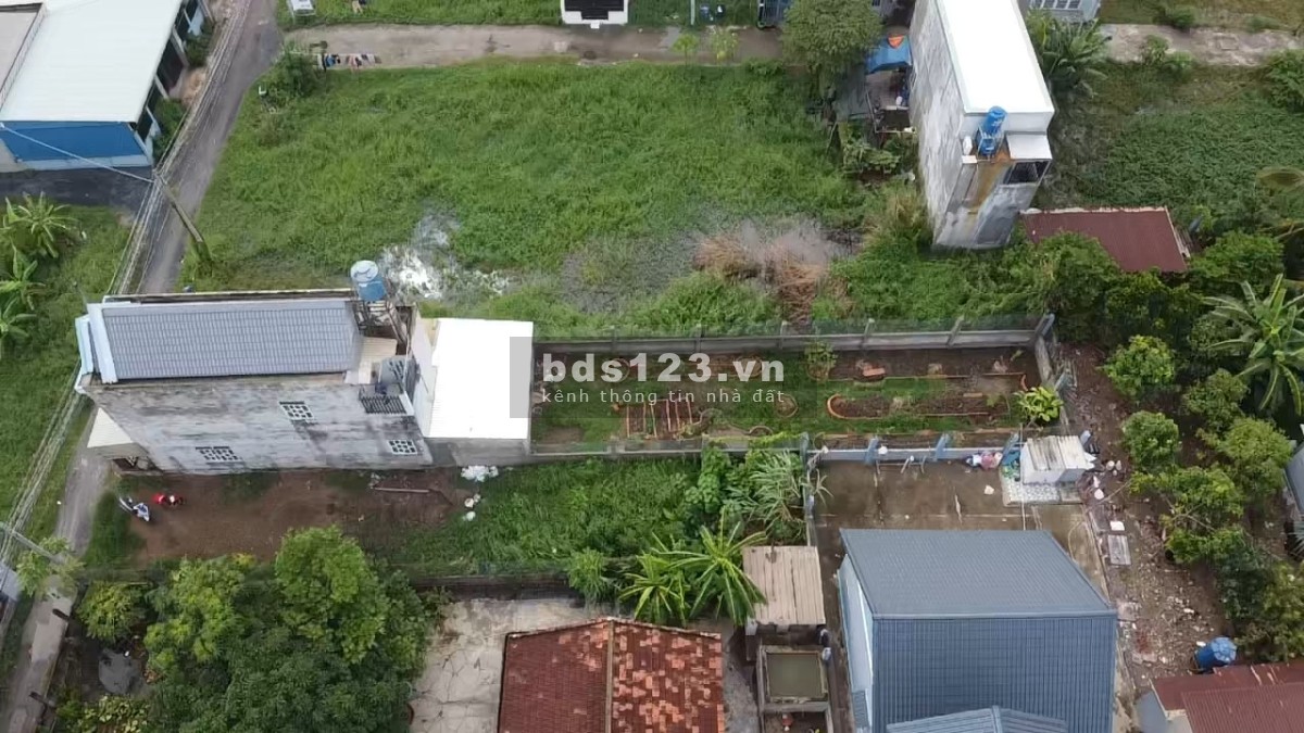 Tổng DT 252m2 (6x42) full thổ cư. Nhà 1 lầu 1 trệt DT sàn 120m2 còn lại 170m2 làm vườn và tiểu cảnh