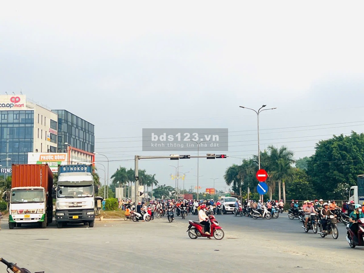 Cứu Chủ.!! 347m2 Thổ Cư, Mặt Tiền Nhựa QH 30m số 58. Ngay KCN Phước Đông, Gò Dầu 490tr