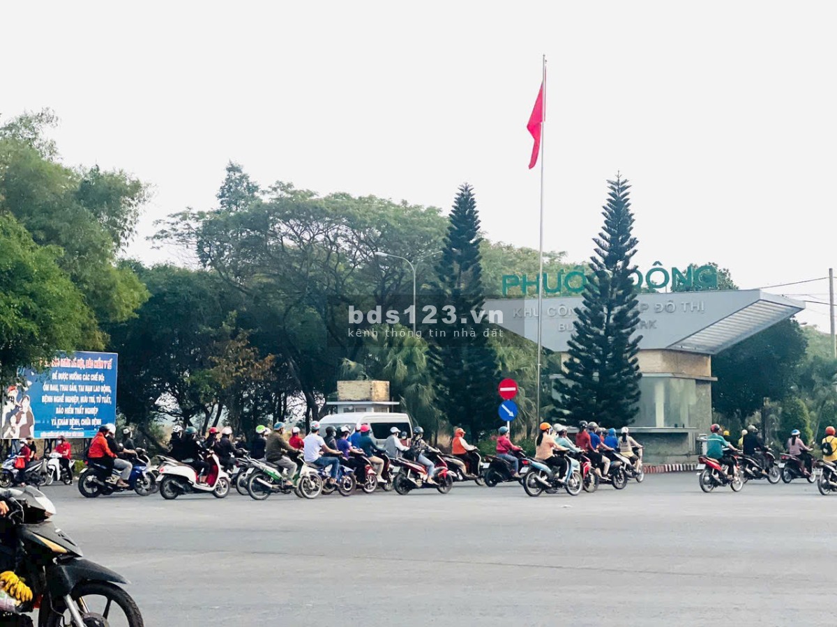 Cứu Chủ.!! 347m2 Thổ Cư, Mặt Tiền Nhựa QH 30m số 58. Ngay KCN Phước Đông, Gò Dầu 490tr