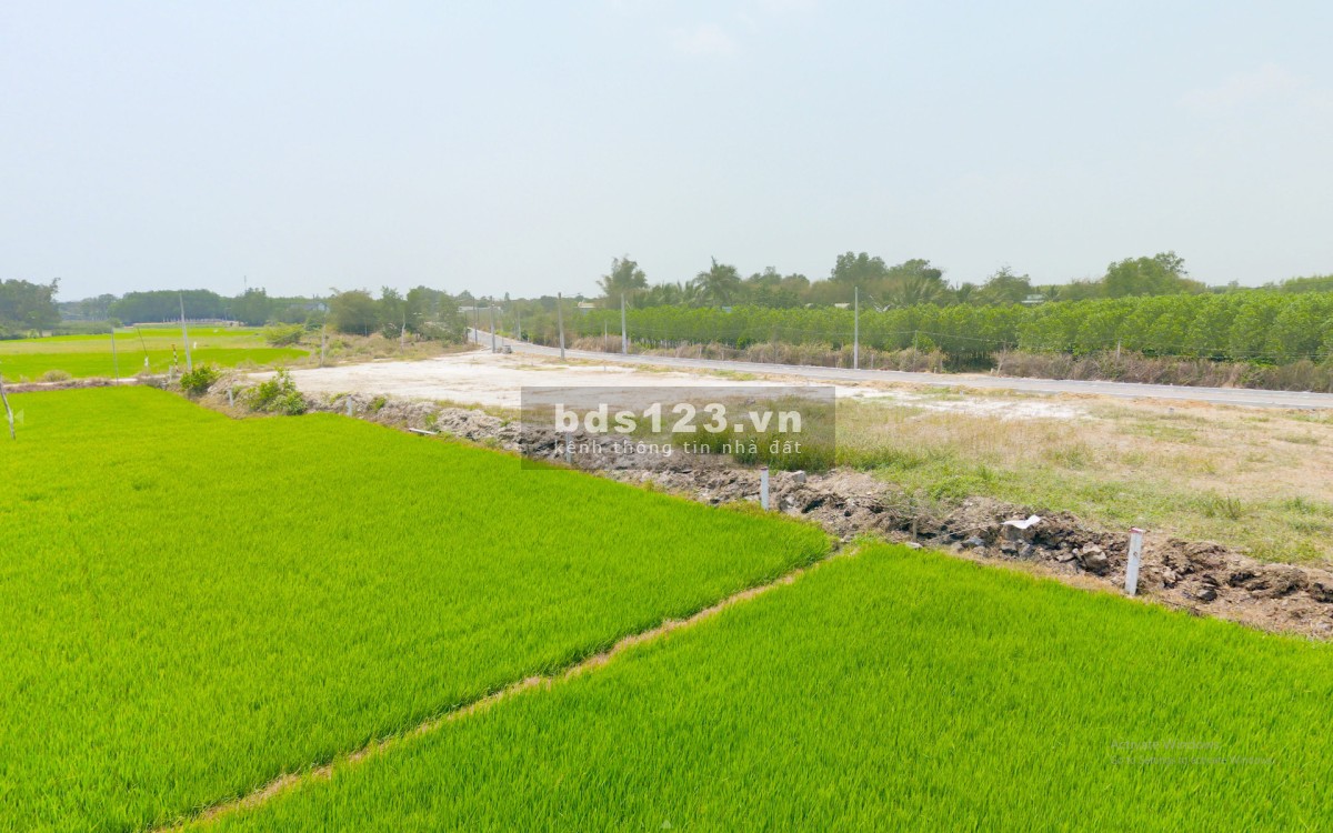 Giá: 1tỷ8- 3tỷ, Sổ đỏ thổ cư, cách QL55 chỉ 12m, Xã Láng Dài, Huyện Đất Đỏ, Tỉnh Bà Rịa-Vũng Tàu
