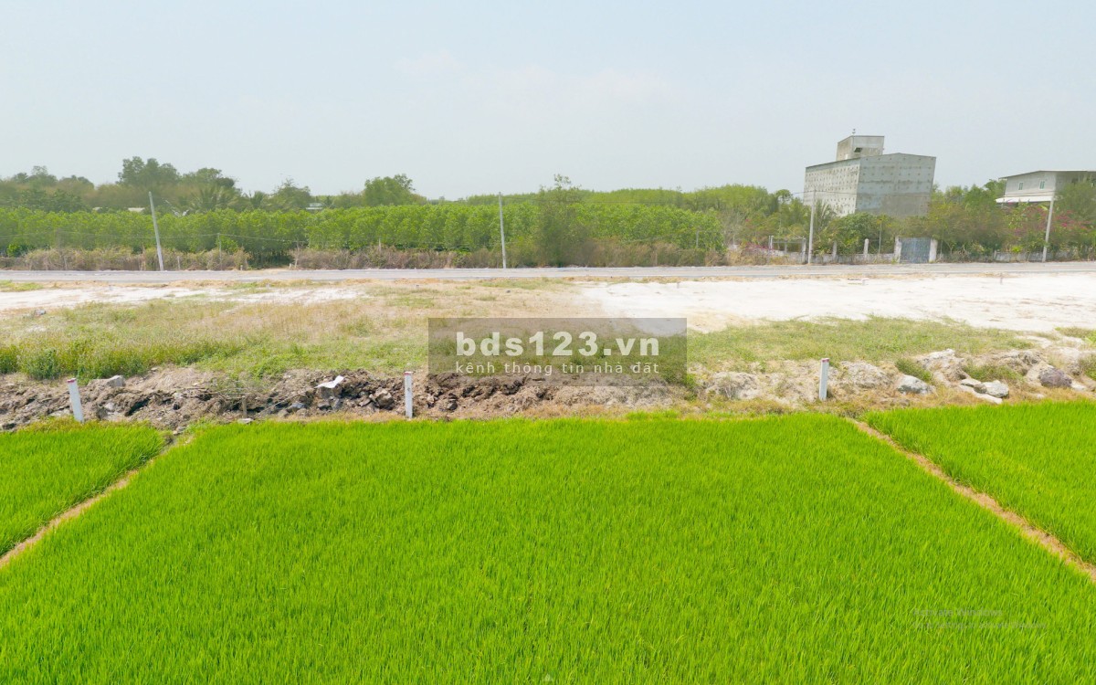 Giá: 1tỷ8- 3tỷ, Sổ đỏ thổ cư, cách QL55 chỉ 12m, Xã Láng Dài, Huyện Đất Đỏ, Tỉnh Bà Rịa-Vũng Tàu