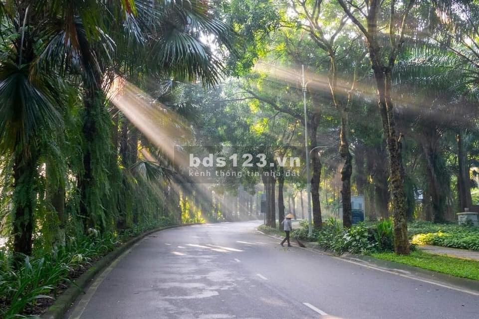 Sức nóng của căn hộ tại The Fibonan không có dấu hiệu hạ nhiệt - Hãy đến và sở hữu ngay