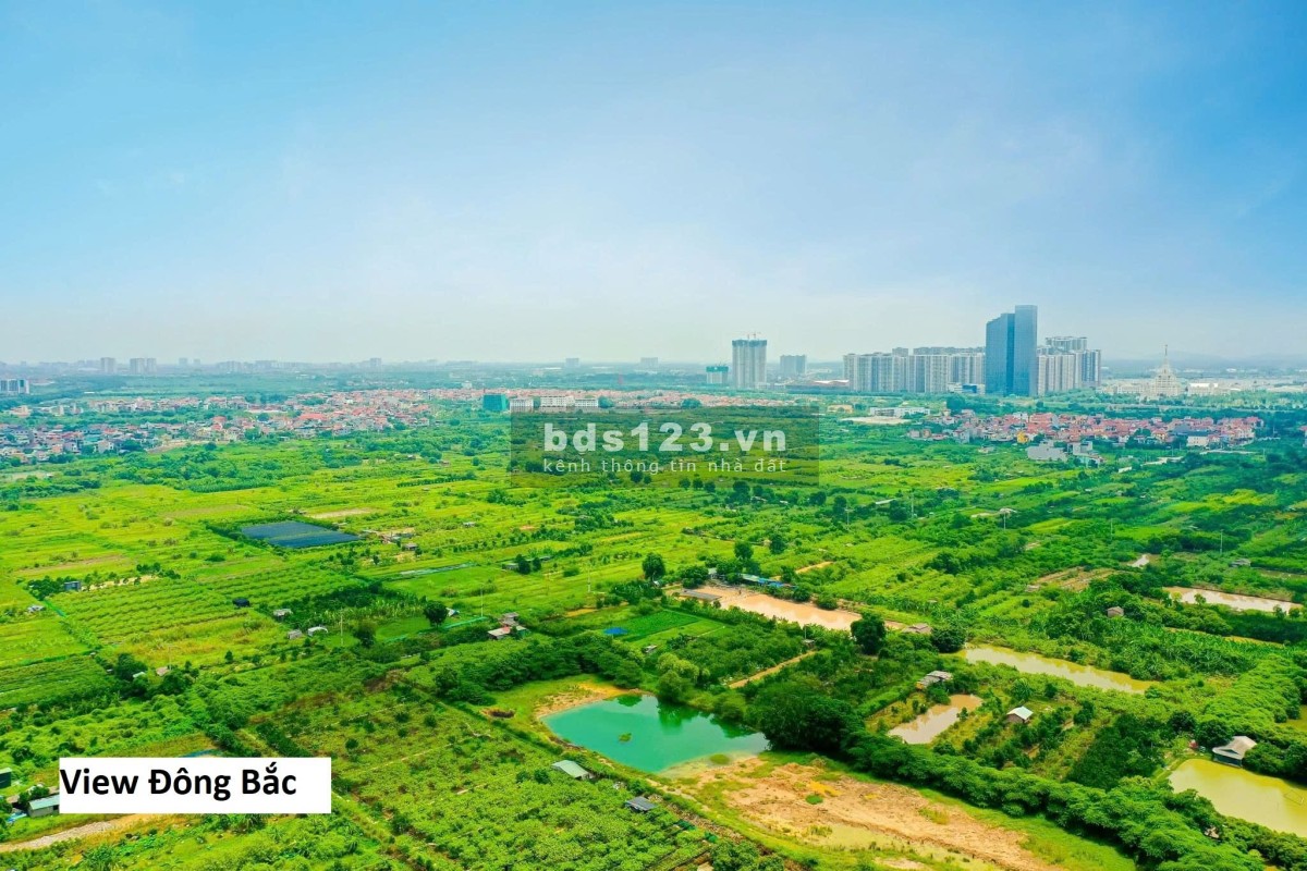 Sức nóng của căn hộ tại The Fibonan không có dấu hiệu hạ nhiệt - Hãy đến và sở hữu ngay