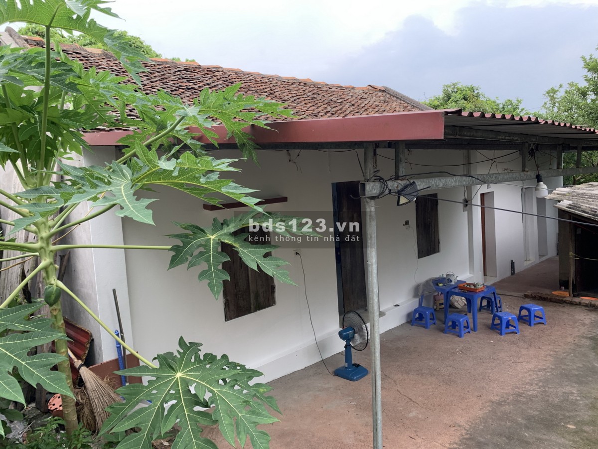 Cho Thuê Nhà có 50m2 nhà, 2000m2 vườn Giá 2,5tr cách TP Bắc Giang ~ 6km