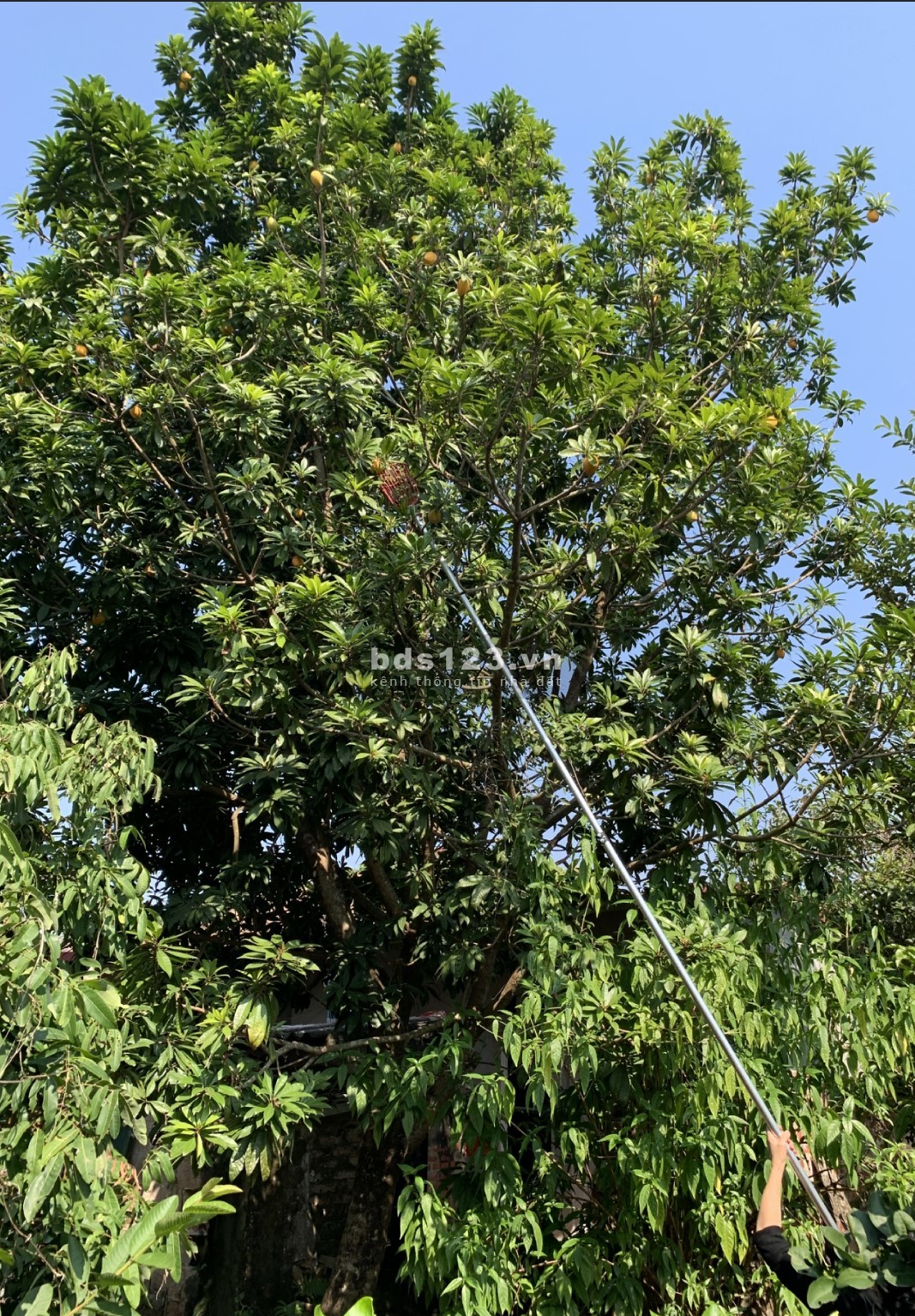 Cho Thuê Nhà có 50m2 nhà, 2000m2 vườn Giá 2,5tr cách TP Bắc Giang ~ 6km