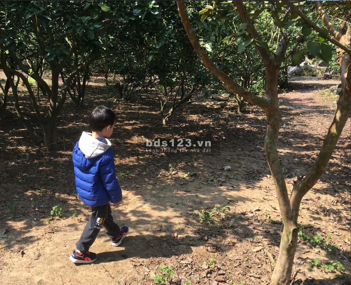 Cho Thuê Nhà có 50m2 nhà, 2000m2 vườn Giá 2,5tr cách TP Bắc Giang ~ 6km