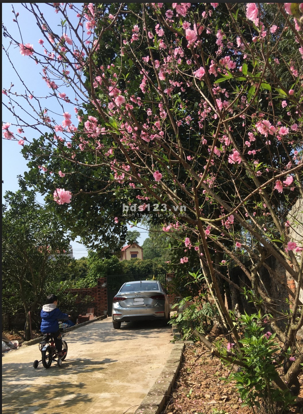 Cho Thuê Nhà có 50m2 nhà, 2000m2 vườn Giá 2,5tr cách TP Bắc Giang ~ 6km