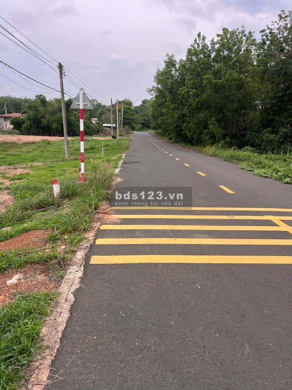 Cần bán mảnh vườn sầu riêng 3095m2 mặt đường nhựa Bình Dương giá rẻ