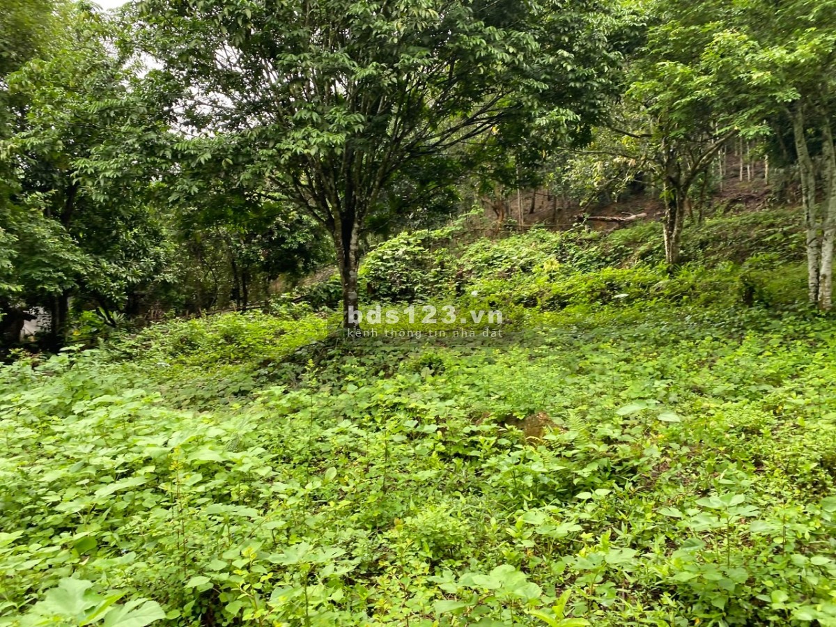 BÁN KHU ĐẤT MẶT ĐƯỜNG XÃ KỲ SƠN – HÒA BÌNH – 7000M2 – CỰC ĐẸP – GẦN NHIỀU KHU TIỆN ÍCH XUNG QUANH