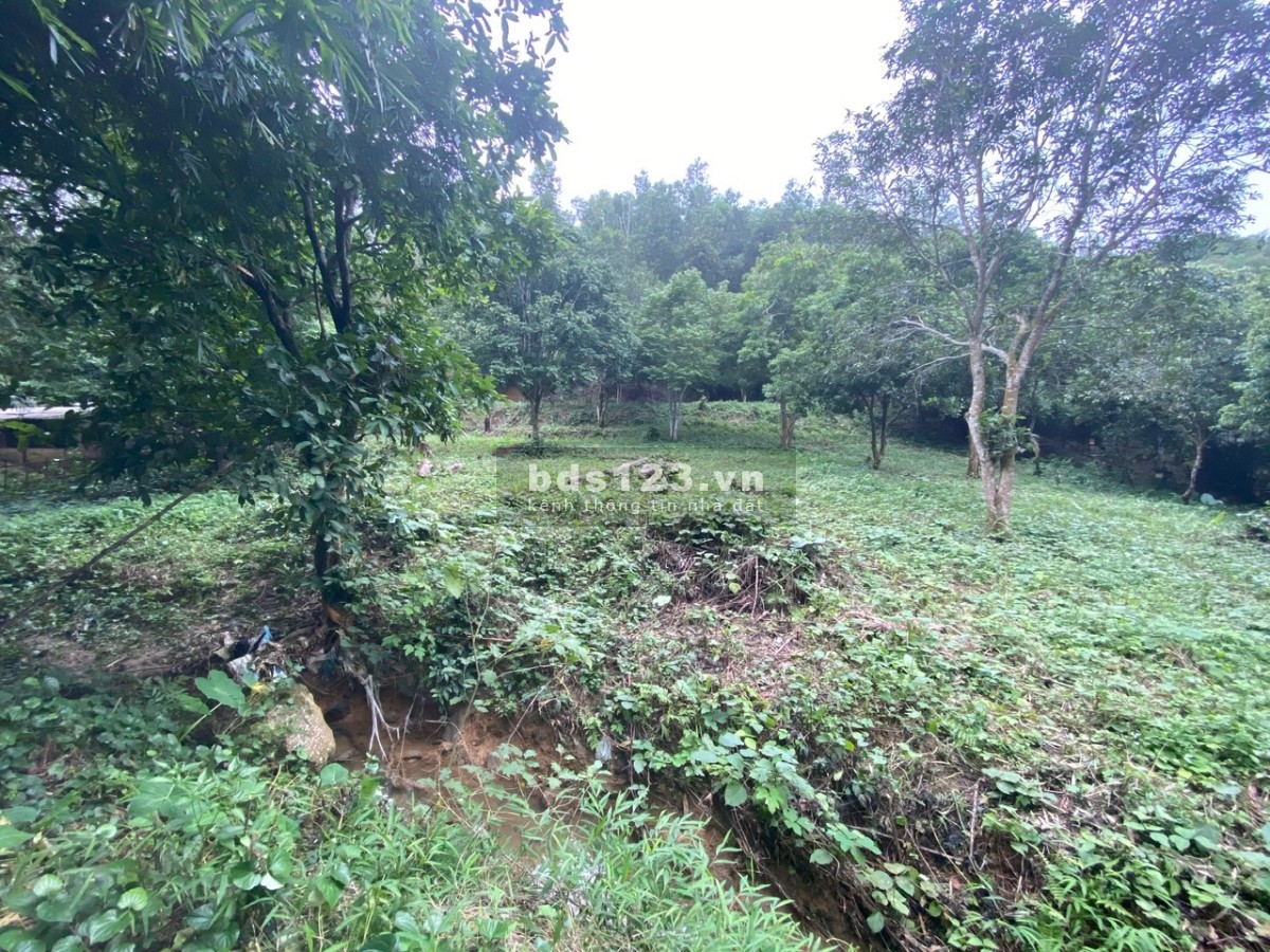 BÁN KHU ĐẤT MẶT ĐƯỜNG XÃ KỲ SƠN – HÒA BÌNH – 7000M2 – CỰC ĐẸP – GẦN NHIỀU KHU TIỆN ÍCH XUNG QUANH